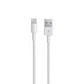 Iphone Lightning to Usb Cable
